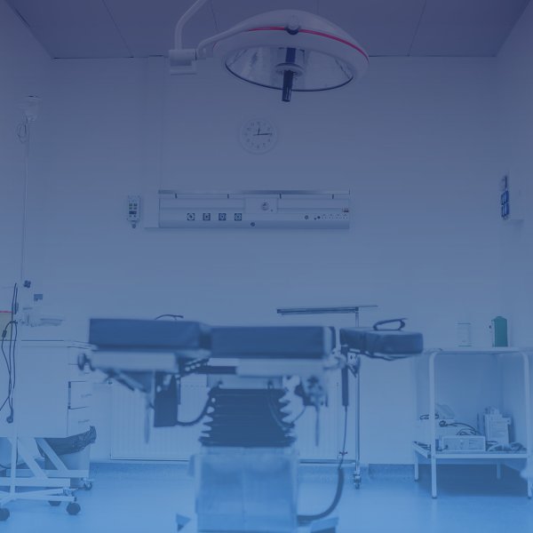Healthcare and social assistance